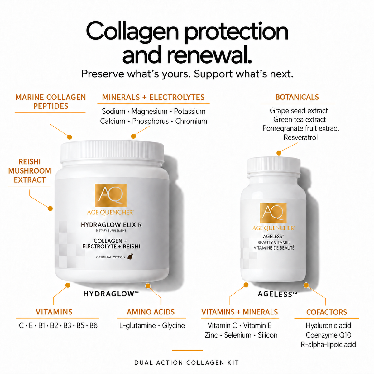 Dual Action Collagen Protection & Renewal Supplement Kit