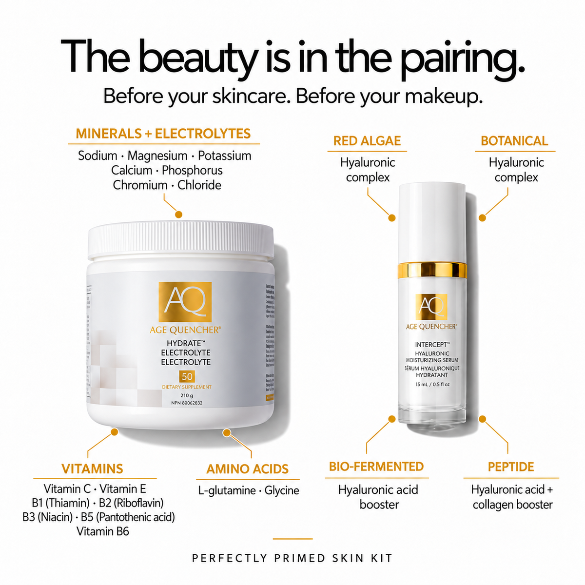 PERFECTLY PRIMED SKIN KIT