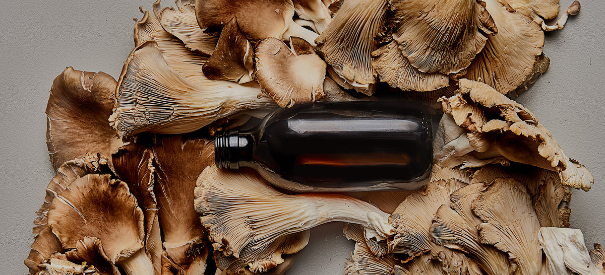 SHROOM Age Quencher USA