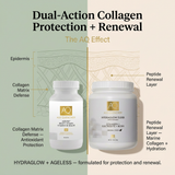 Two bottles of AQ Ageless skincare products with a diagram of collagen protection and renewal on a beige background.