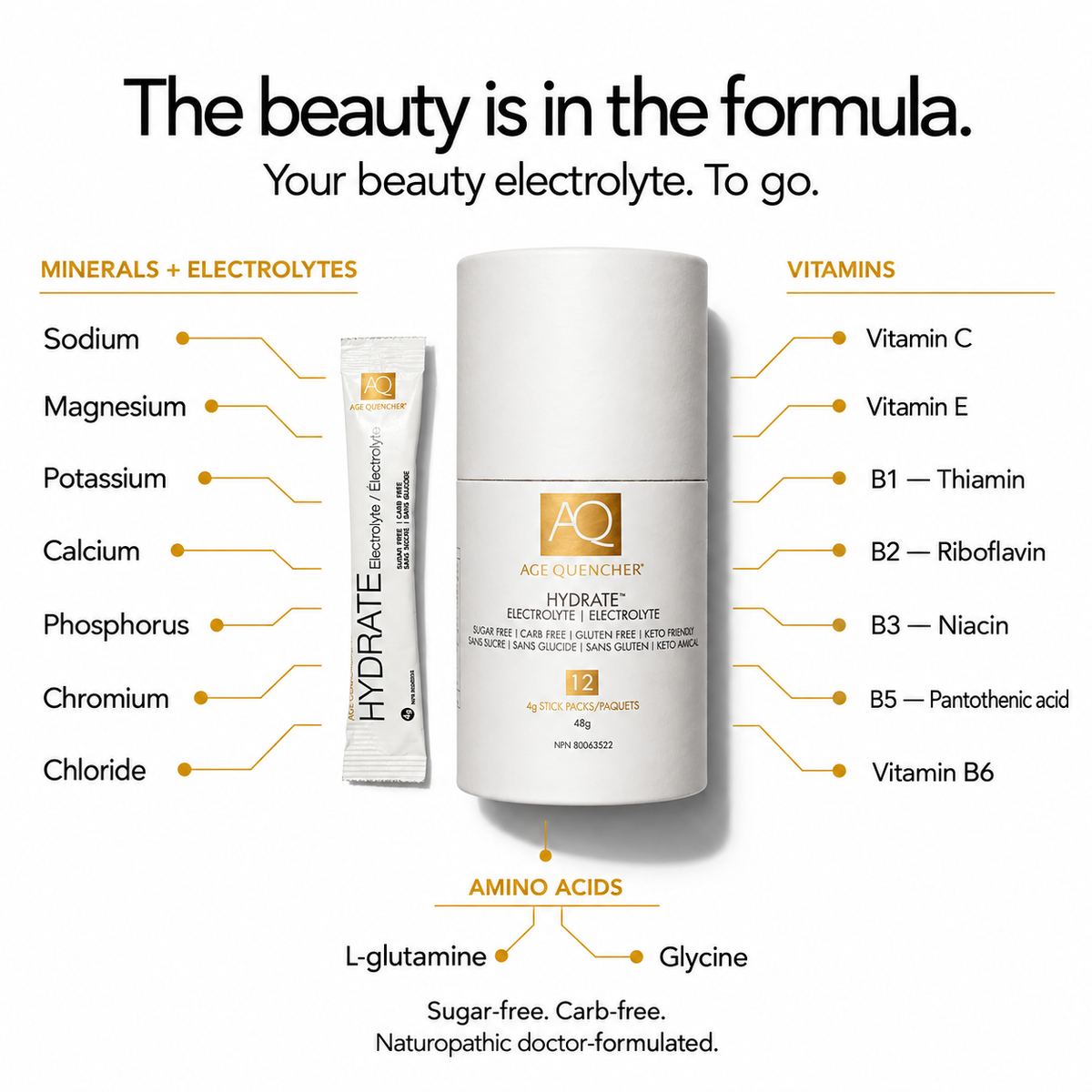 HYDRATE Electrolyte Drink Powder Stick Packs