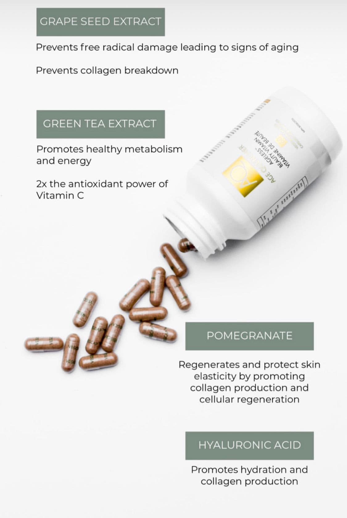 AGELESS™ Antioxidant Vitamin Age Quencher USA
